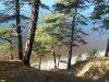Берег Чёрного моря в районе посёлка 6-я Дача